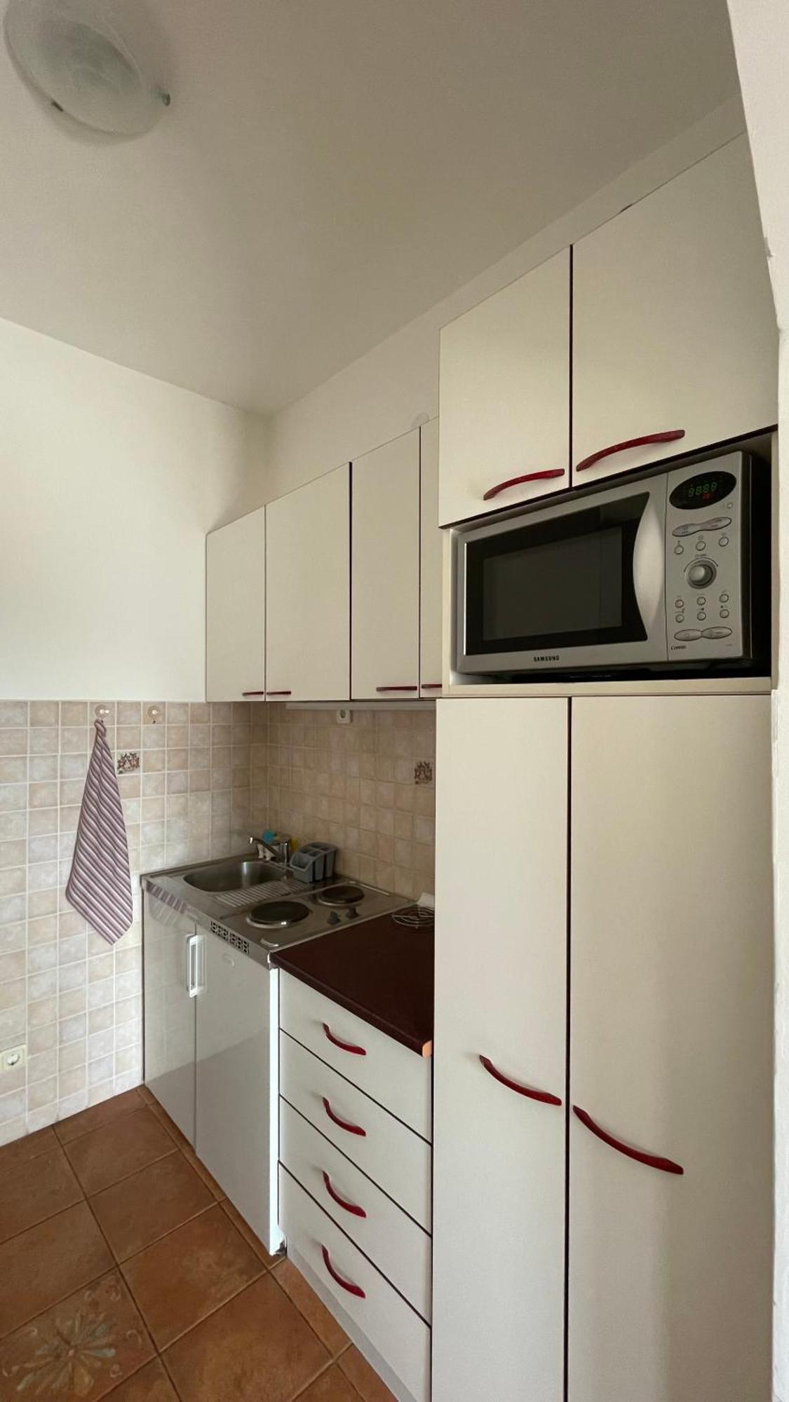 Apartment Tatjana Petrovac Exterior photo